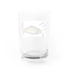 G-HERRINGのブラウントラウト！洞爺湖 あらゆる生命たちへ感謝をささげます。 Water Glass :back