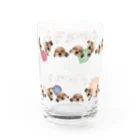 ここまろみのここばるーんmini Water Glass :back