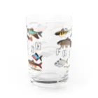 うぱさんのFRESHWATER FISHグラス Water Glass :back