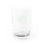 めろんぽっぷのお店だよの踏みだせ、アルダブラゾウガメ 。 Water Glass :back