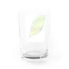 暖暖あたたかの葉っぱ Water Glass :back