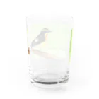 群緑の森（ぐんろくのもり）の新緑のキビタキ Water Glass :back