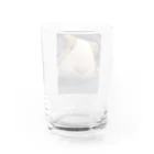 クリエイティブ ショップのドアップのモルちゃん Water Glass :back