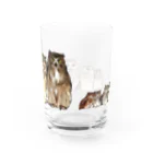 鵄　〜フクロウまみれ〜のせのじゅんフクロウ Water Glass :back