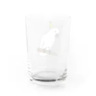 ゴールデンレトリバーわんちゃん犬の白い怪獣　キバタン Water Glass :back