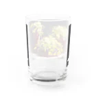 ボンブ映像社の無添加ジャンクフード Water Glass :back