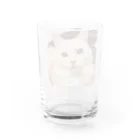 k-mintoの可愛い長毛種のネコちゃんグッズ Water Glass :back