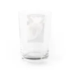 Makoto_Kawano Designの悪そうなのにカワイイ猫ちゃん Water Glass :back