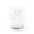 maronchiro55のメル Water Glass :back