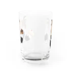 陽爪のぼる直売所ののぼる、ごさい Water Glass :back