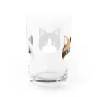 Smauの三毛猫・ハチワレ・ラグドール Water Glass :back