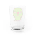 いんこ屋堂のワカケホンセイインコ（ノーマル/メス） Water Glass :back