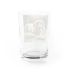 じじのおやつを前にしたダックスフント Water Glass :back