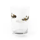 ペチッタぺチットのシーラカンス Water Glass :back