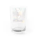 Ayatingのスケボーに乗っちゃう Water Glass :back