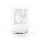 age3mのネコとストラト Water Glass :back