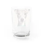 hono想(そう)イタグレ日記の笑顔のイタリアングレーハウンド Water Glass :back