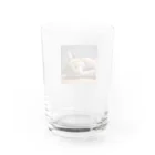 モカチャンコのお昼寝ニャンコ Water Glass :back