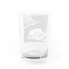 solt-oreの夢 Water Glass :back