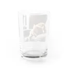 feliceのリビングでごろんとする猫 Water Glass :back