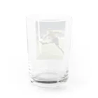 TERACHAUのFOOTBALL Water Glass :back