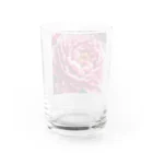 キャラメルのピオニーのピンク大輪　 Water Glass :back