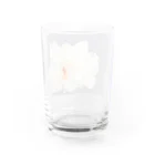 HAREBAREのAO Water Glass :back