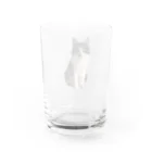 どなえみの姫の可愛いみみちゃん Water Glass :back