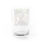 kokin0の足を広げて座る犬 Water Glass :back