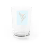 CALAKUEN(SOIL)のTulipa cv. lambada Water Glass :back