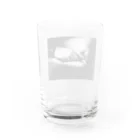 視覚世界の哲学的指示 Water Glass :back