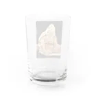 316(MIHIRO)のミシニのひとやすみ Water Glass :back