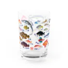 MUSEUM LAB SHOP MITのおさかないろいろ図鑑 Water Glass :back