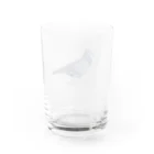 行方不明のドバトが見つかったの行方不明のドバト_鳩 Water Glass :back