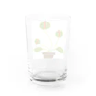 くーまんの部屋🐻のハエトリソウ Water Glass :back