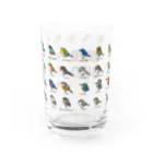 すたじお ワグテイルの野鳥連合（ことり支部） Water Glass :back