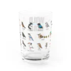 すたじお ワグテイルの野鳥連合（大きめ野鳥の支部） Water Glass :back