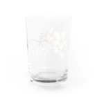 ヤングコーン市場の桜sakura Water Glass :back