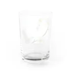 はち / きまぐれハチログの白い梅 Water Glass :back