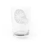 モリタミナミのオウムガイ Water Glass :back