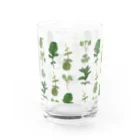 いいだ あやかのherb Water Glass :back