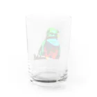 Danke Shoot Coffeeのケツァール Water Glass :back