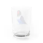 まめるりはことりのボタンインコ　おすましコバルトブルー【まめるりはことり】 Water Glass :back