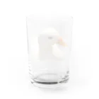 ❣️コールダックのKちゃん❣️のくちばし桜Kちゃん Water Glass :back