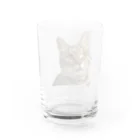 みけ（猫たつえ製作所/闇と肉球。）の千景一歳記念 Water Glass :back