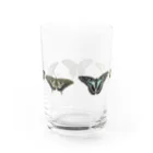 kitaooji shop SUZURI店のアゲハ蝶5種 Water Glass :back