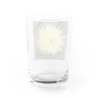 でおきしりぼ子の実験室のサボテンの花 Water Glass :back