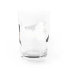 金ちゃんの部屋のキッズ時代の金ちゃん Water Glass :back