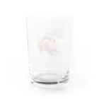 aNone sOnoneのスキニーギニアピッグ Water Glass :back