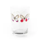 てふのようちえんのスカシジャノメ5種盛り合わせセット Water Glass :back